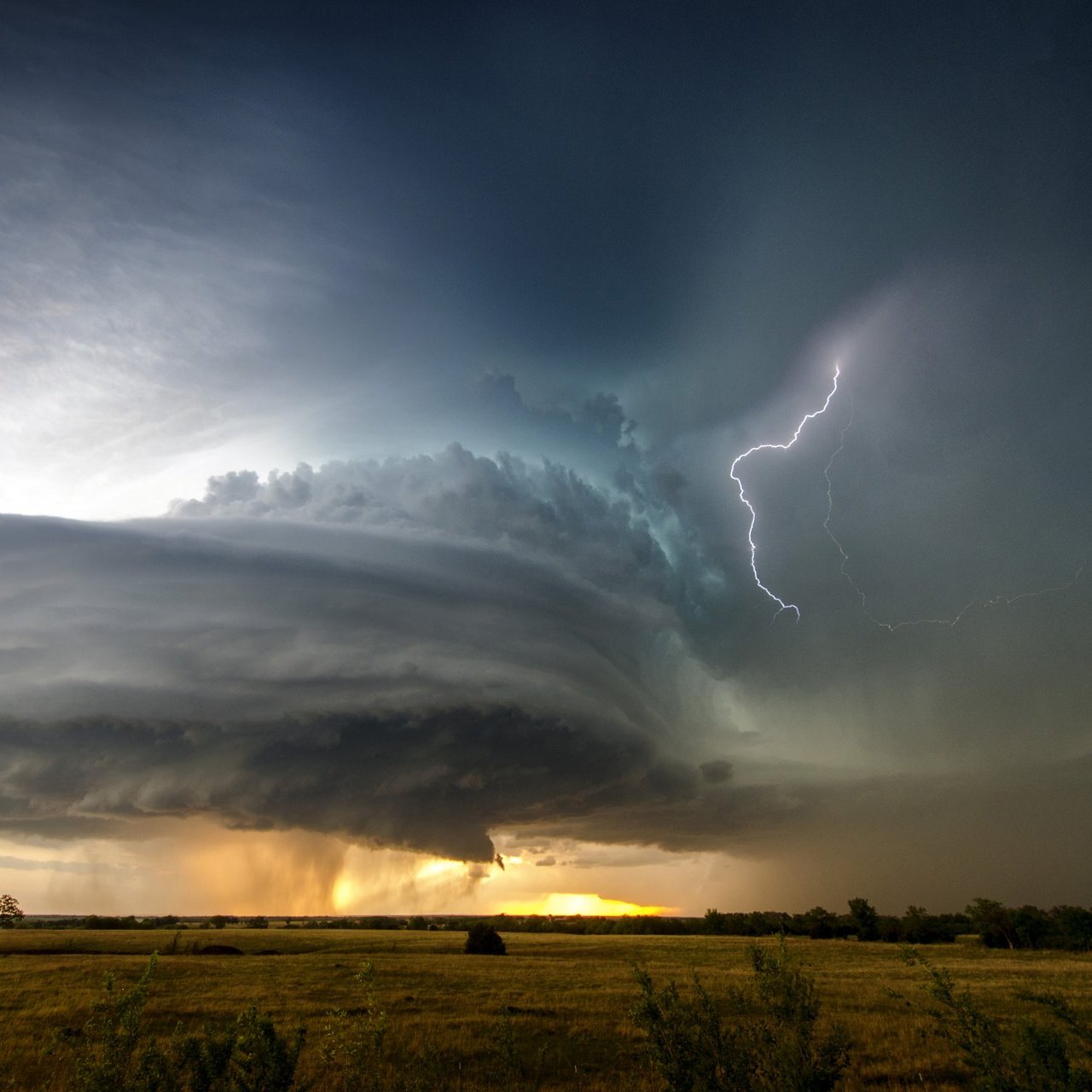 Ein mächtiges Ungewetter, das sich über ein großes Feld erstreckt. Über den kleinen Bäumen in der Distanz zieht sich eine riesige Gewitterwolke, in der Lichter von Blitzen durch die Wolkenfront brechen.